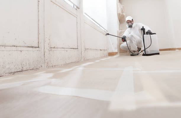 24/7 Emergency Commercial Mold Remediation experts in Culpeper, VA