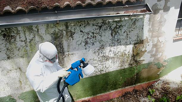Top rated local Commercial Mold Remediation specialists in Culpeper, VA